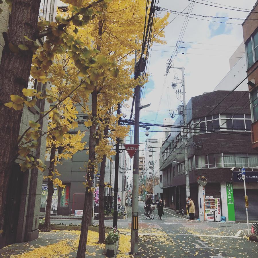 Osaka Iceblue Hostel מראה חיצוני תמונה